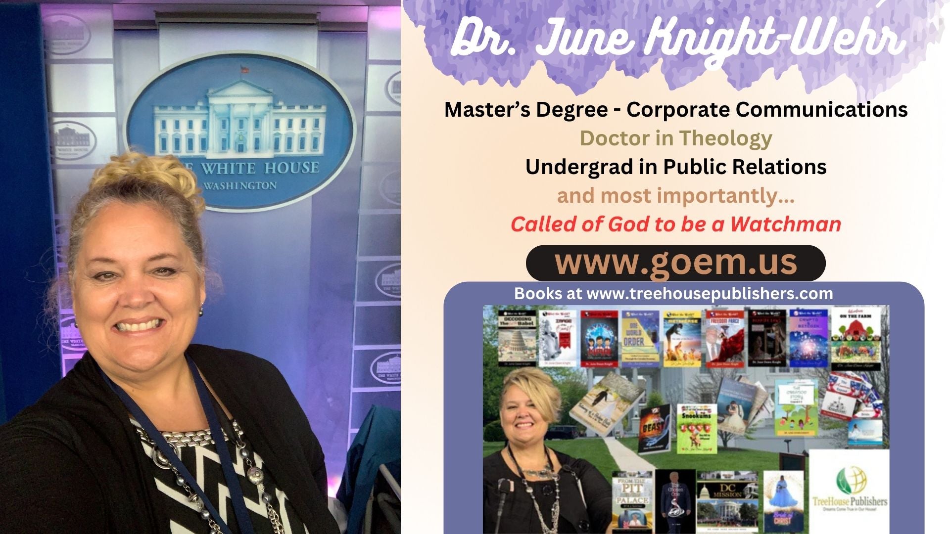 E-Book .pdf of Global ID Big Picture - Dangers of Trump's Second Presidency