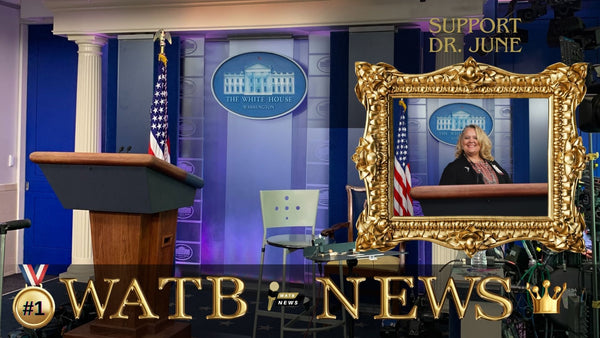 White House Book #1  - From the PIT to the Palace - $9 & a Suitcase